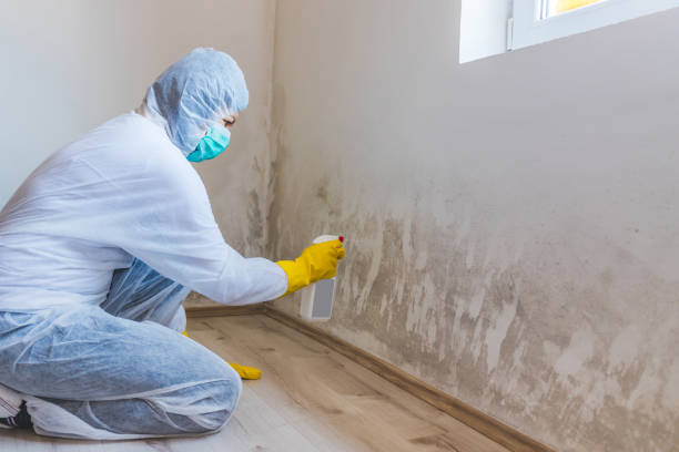 Commercial Mold Remediation assessment for commercial property in Hamilton